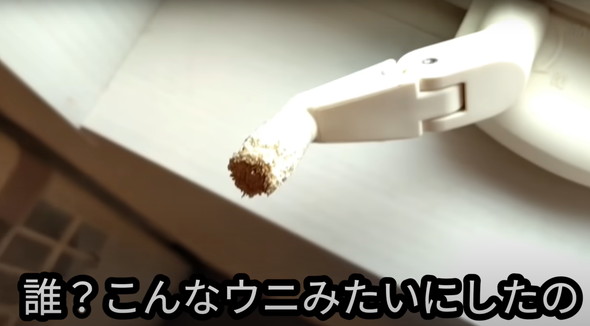 保護猫ちゃんと暮らし始めて5年後のマイホーム