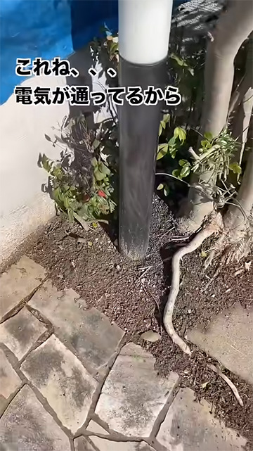 電気が通ってるから