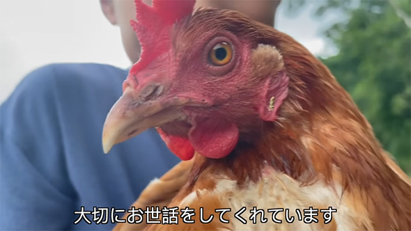 大切にお世話を