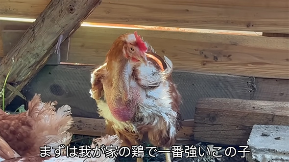 まずは我が家の