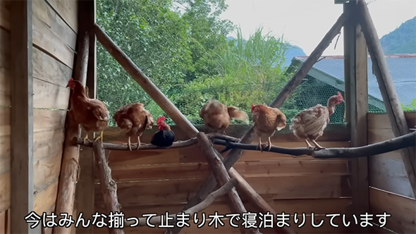 今はみんなそろって