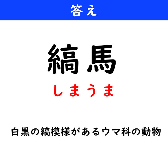 漢字クイズ　難読漢字　縞馬