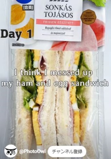 1日目のサンドウィッチ