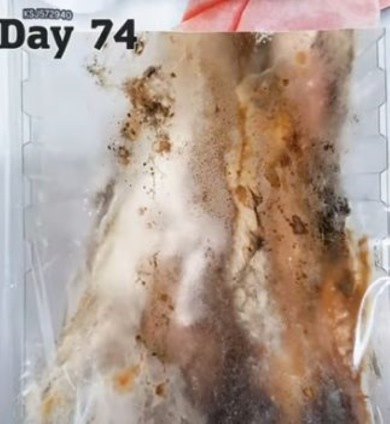 74日目のサンドイッチ