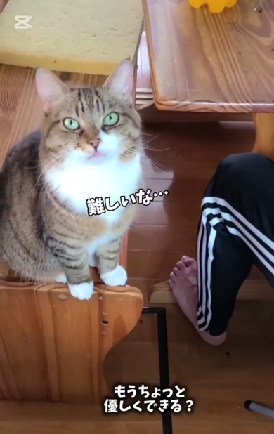 「難しいな……」