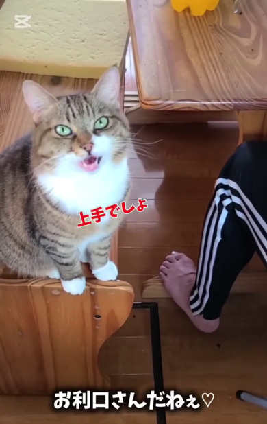 ママさんに褒められてうれしそうです