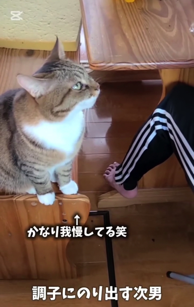 かなり我慢をしている様子の猫