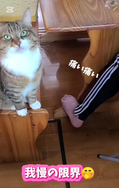 横では大笑いのママさん