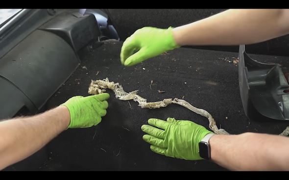 洗車 アメ車 ポンティアック ファイヤーバード