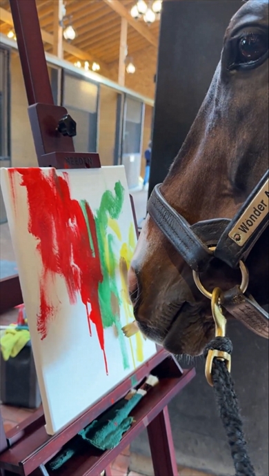 キャンバスに絵を描く元競走馬のワンダーアキュート