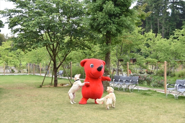 チーバくんに起きた悲劇