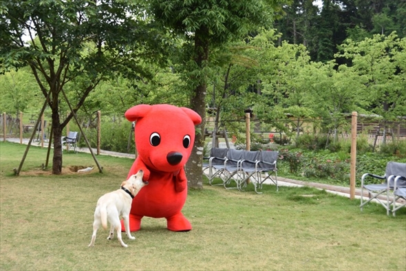 チーバくんに起きた悲劇