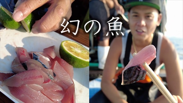 地元漁師の船に乗って海に出たら