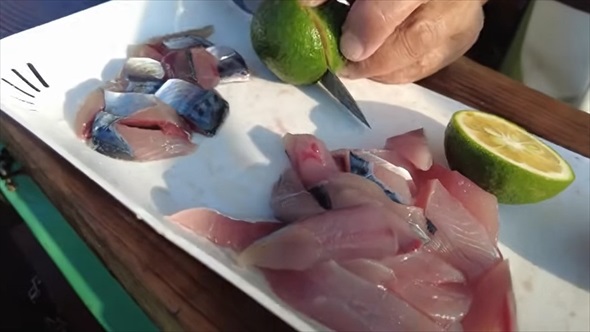 地元漁師の船に乗って海に出たら