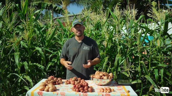 7通りのジャガイモ栽培法