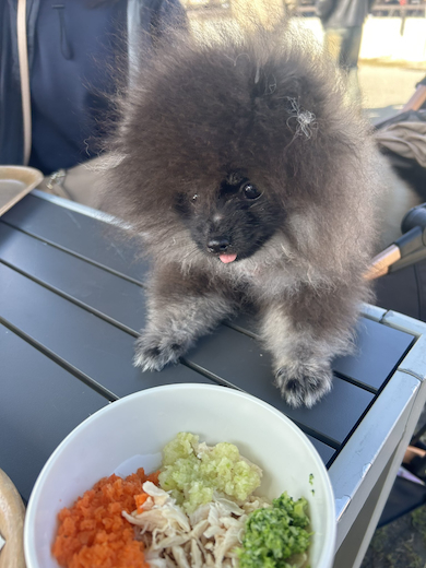 ボンボンちゃん