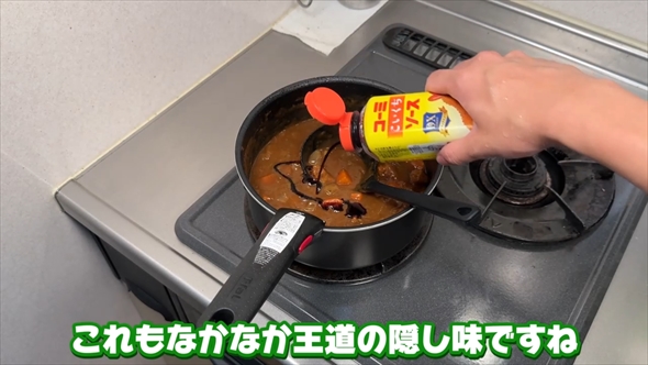 「カレーの隠し味、何種類入れたらカレーじゃなくなる？」の検証結果