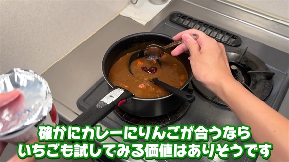 「カレーの隠し味、何種類入れたらカレーじゃなくなる？」の検証結果
