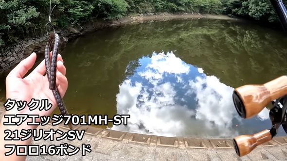 疑似餌に巨大なワームを使ったバス釣り