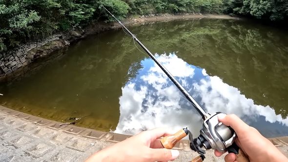 疑似餌に巨大なワームを使ったバス釣り