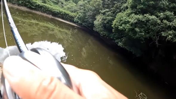 疑似餌の巨大なワームに何かが食いついた