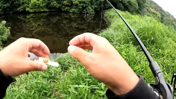 別日に収録した釣り動画