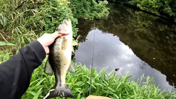 別日に収録したバスを釣り上げる様子