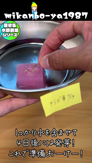 しっかり水を含ませて