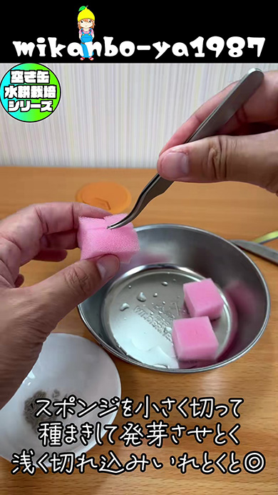スポンジを小さく切って