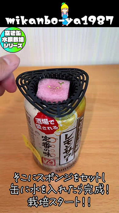 そこにスポンジをセットし