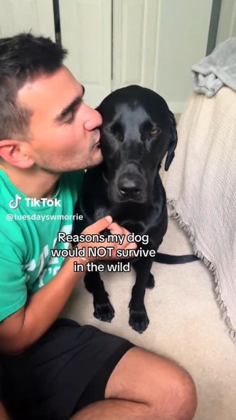 飼い主さんにべったりのワンコ