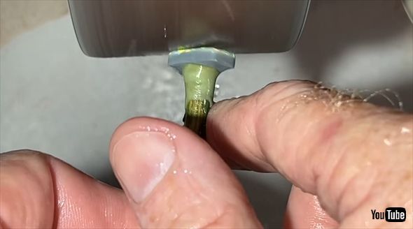 採掘場所不明のブラックオパールのカット