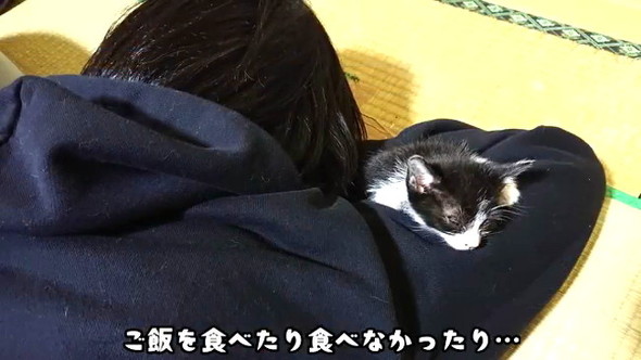 ごはん食べない