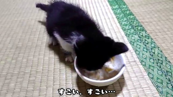 食べる