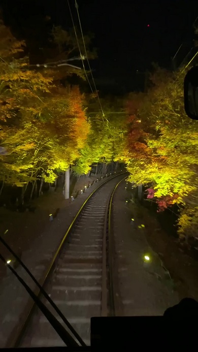 叡山電車から撮影した紅葉のトンネル