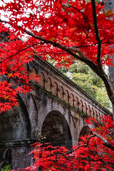 色鮮やかな紅葉と奥の水路閣