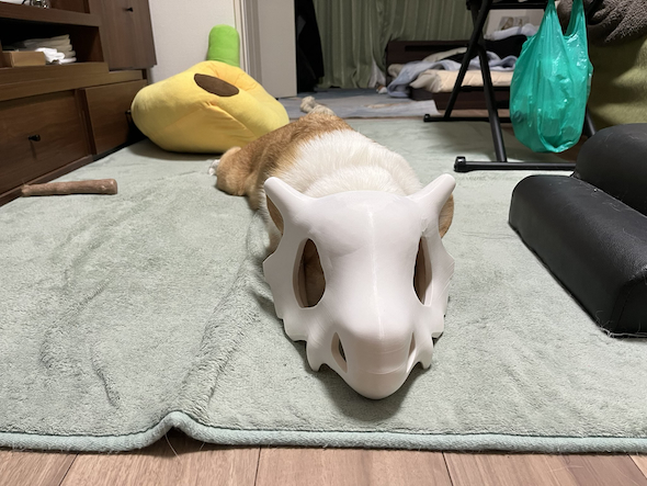 ひんしのカラカラ