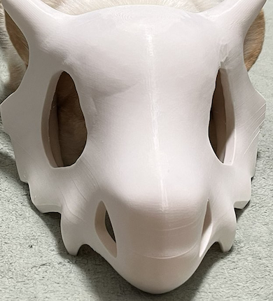 ひんしのカラカラ