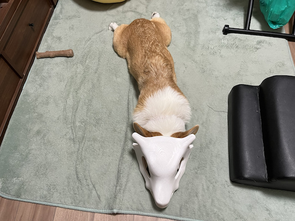 ひんしのカラカラ