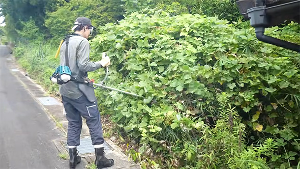 草刈り機で草を刈る