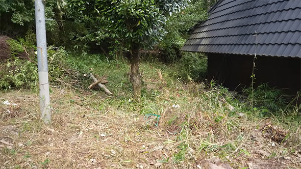 キレイになった古民家の敷地