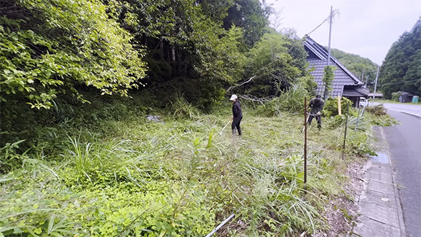 2人がかりで草刈り