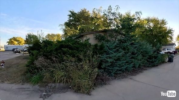 家が見えないレベルで茂りすぎた庭木の手入れ