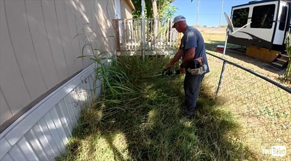 家が見えないレベルで茂りすぎた庭木の手入れ