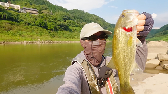 高山ダムでバス釣り