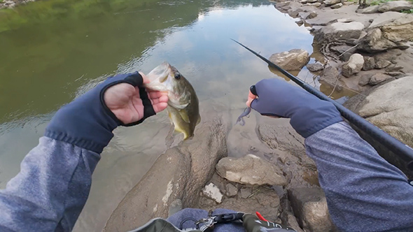 高山ダムでバス釣り