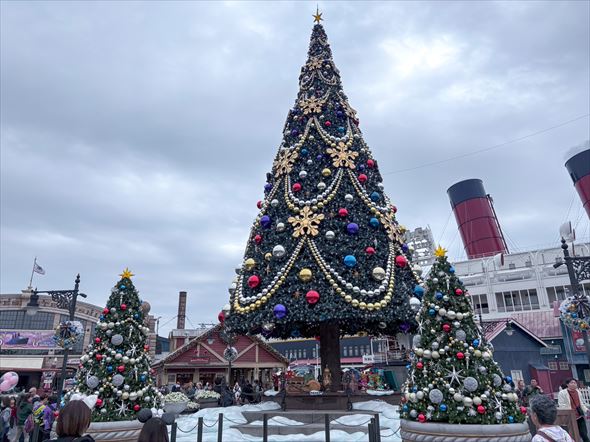 アメリカンウォーターフロントには巨大なクリスマスツリーができました