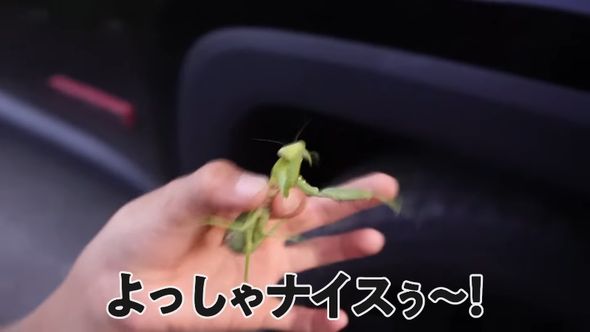 体の色は異なるが気にせず喜ぶ親子