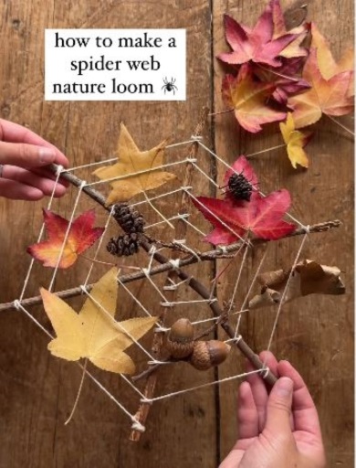 木々で作った蜘蛛の巣