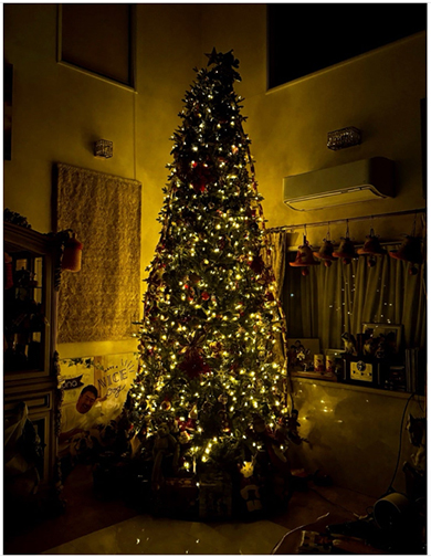 北斗晶家のクリスマスツリー